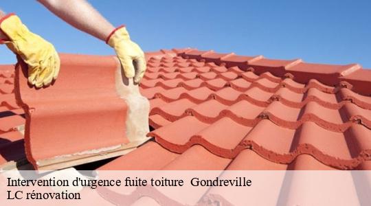 Intervention d'urgence fuite toiture 