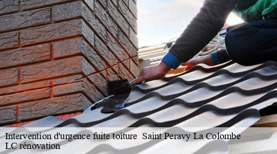 Intervention d'urgence fuite toiture 