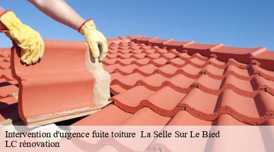 Intervention d'urgence fuite toiture 