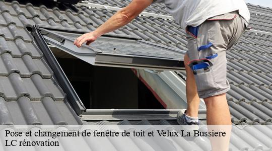 Pose et changement de fenêtre de toit et Velux