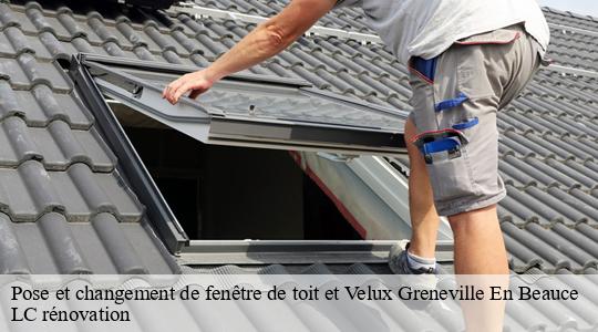 Pose et changement de fenêtre de toit et Velux