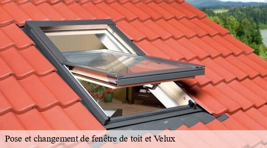 Pose et changement de fenêtre de toit et Velux